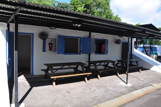 The Shed